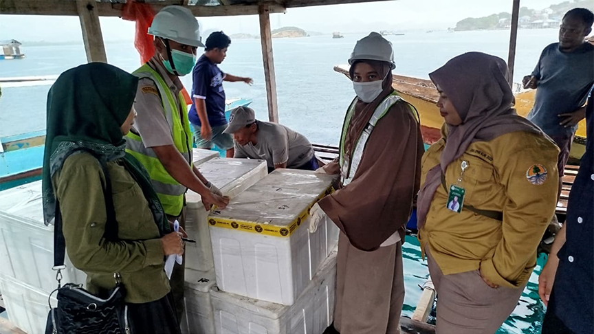  Pastikan Budidaya dan Lalin Coral Sesuai Aturan, karantina bersinergi dengan BKSDA