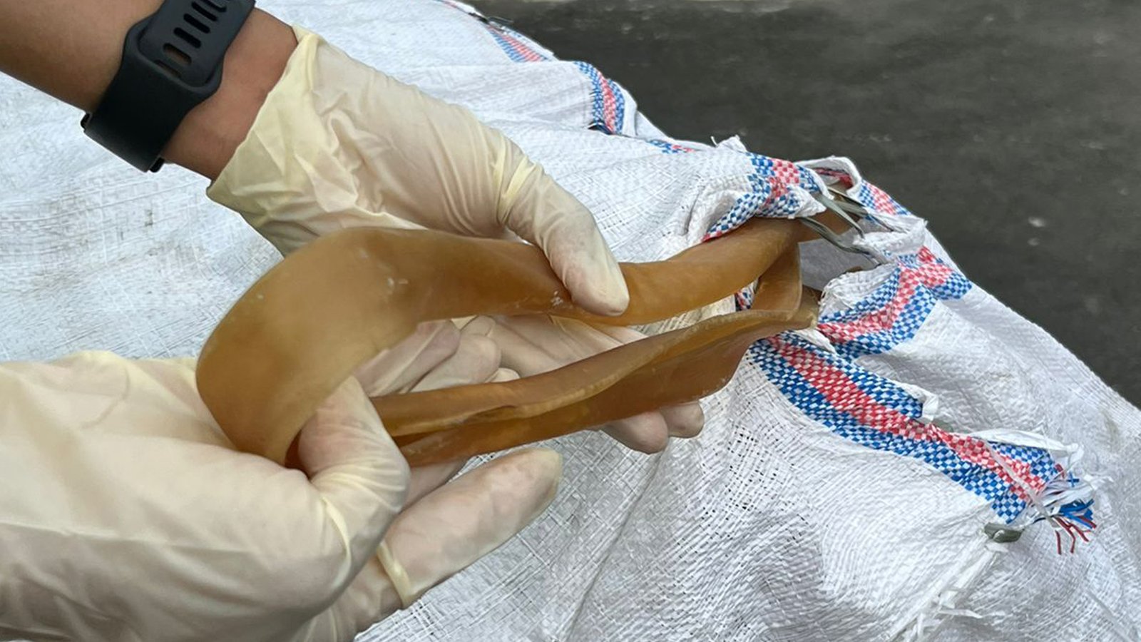 Karantina Lembar Tolak 3.500 Kilogram Kulit Sapi Kering Asal Situbondo