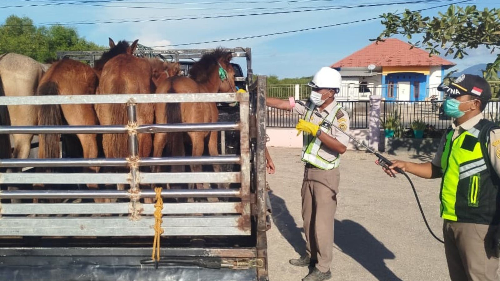 Karantina NTB Perketat Pengawasan Ternak Tujuan Jeneponto